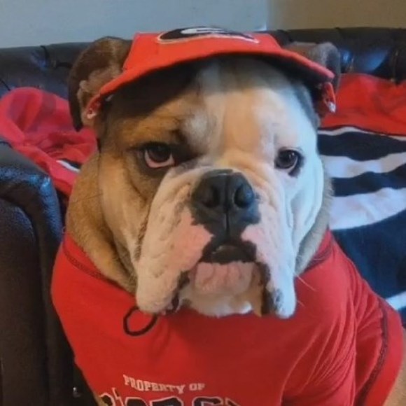 Meet your Posher, David - Picture 1 of 1